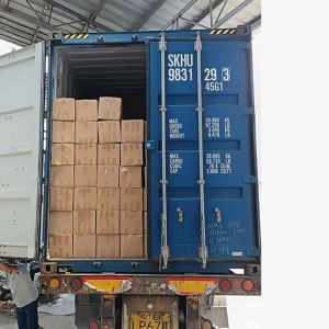 Export New Container Shipment 